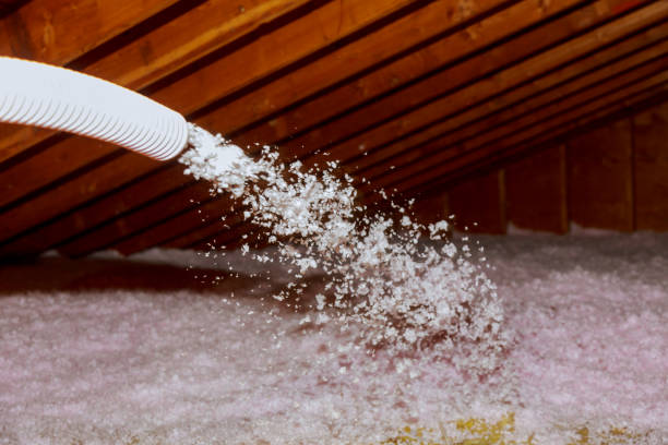 Best Spray Foam Insulation in Louisville, GA