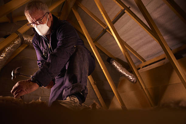Best DIY Insulation Kits and Guidance in Louisville, GA